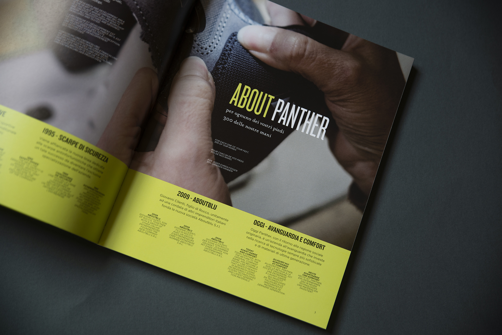 Dettaglio catalogo Panther